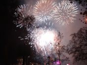 323.jpg - 2010:11:13 17:05:43