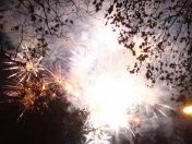 326.jpg - 2010:11:13 17:06:38