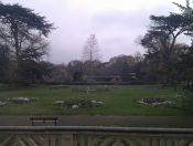 09.jpg - 2010:11:20 13:40:31