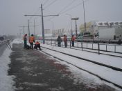 017.jpg - 2010:12:05 08:28:33