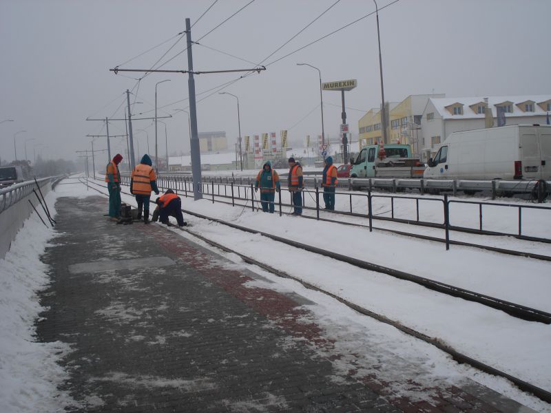 Viewing photos→2010→2010-12-04→017