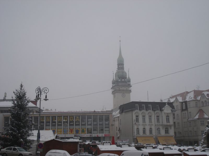 Viewing photos→2010→2010-12-04→023