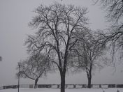 029.jpg - 2010:12:05 09:15:32