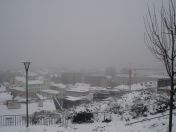 031.jpg - 2010:12:05 09:16:31