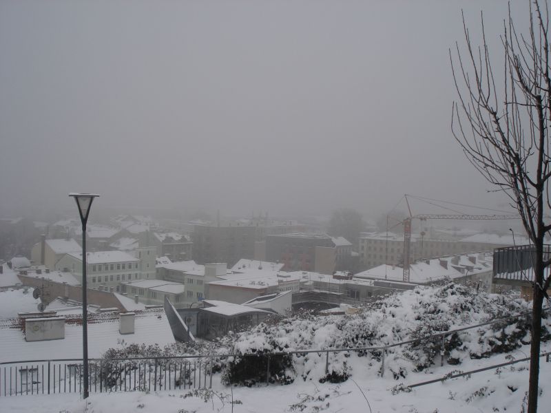 Viewing photos→2010→2010-12-04→031