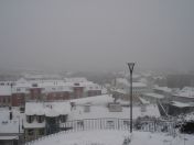 032.jpg - 2010:12:05 09:16:36