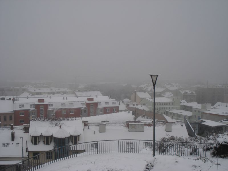 Viewing photos→2010→2010-12-04→032