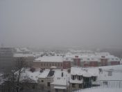 033.jpg - 2010:12:05 09:16:41