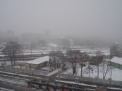 036.jpg - 2010:12:05 09:19:39