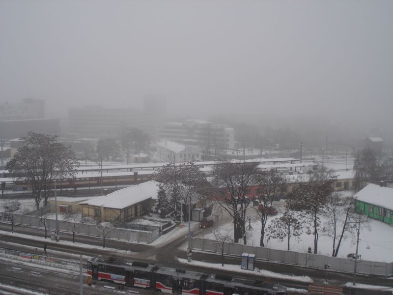 Viewing photos→2010→2010-12-04→036