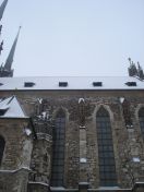 040.jpg - 2010:12:05 10:09:56