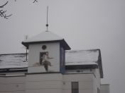 054.jpg - 2010:12:05 10:17:17