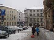 055.jpg - 2010:12:05 10:19:41