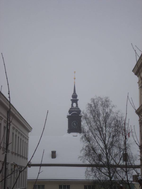 Viewing photos→2010→2010-12-04→056