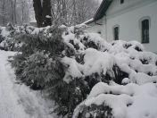 057.jpg - 2010:12:05 10:25:56