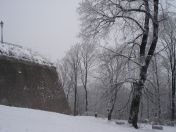 058.jpg - 2010:12:05 10:28:29