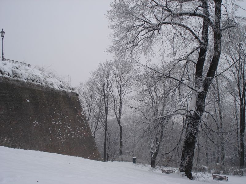 Viewing photos→2010→2010-12-04→058