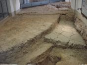 061.jpg - 2010:12:05 10:52:21