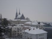 087.jpg - 2010:12:05 13:33:23