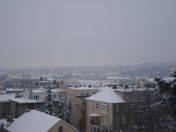 088.jpg - 2010:12:05 13:33:34