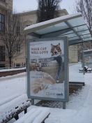 091.jpg - 2010:12:05 13:41:39