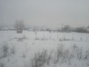 102.jpg - 2010:12:06 10:44:29