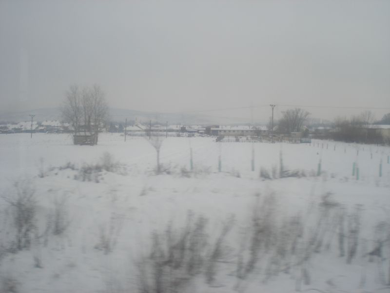 Viewing photos→2010→2010-12-04→102