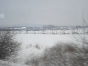 103.jpg - 2010:12:06 10:45:04