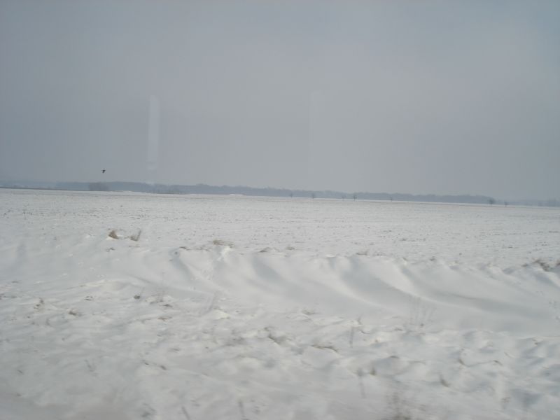 Viewing photos→2010→2010-12-04→105