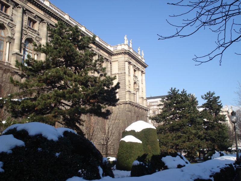 Viewing photos→2010→2010-12-06→041