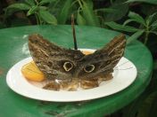 056.jpg - 2010:12:07 12:17:41