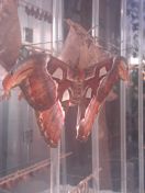 058.jpg - 2010:12:07 12:20:34