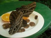 059.jpg - 2010:12:07 12:21:13