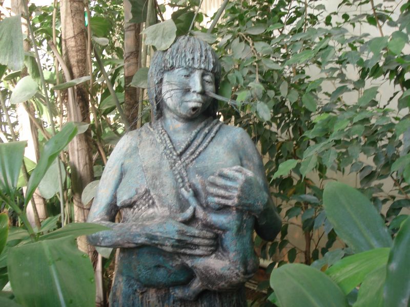 Viewing photos→2010→2010-12-06→060