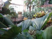 061.jpg - 2010:12:07 12:23:03