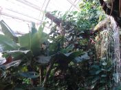 062.jpg - 2010:12:07 12:24:42