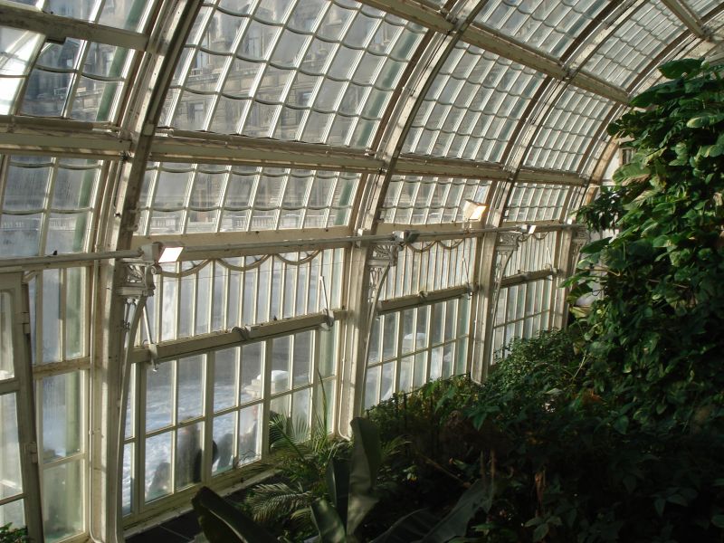 Viewing photos→2010→2010-12-06→063