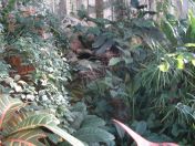 064.jpg - 2010:12:07 12:29:04