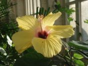 066.jpg - 2010:12:07 12:30:28