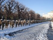 083.jpg - 2010:12:07 13:00:48