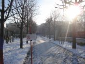 084.jpg - 2010:12:07 13:01:30