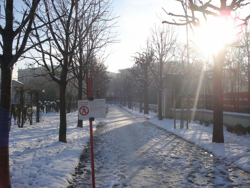 Viewing photos→2010→2010-12-06→084