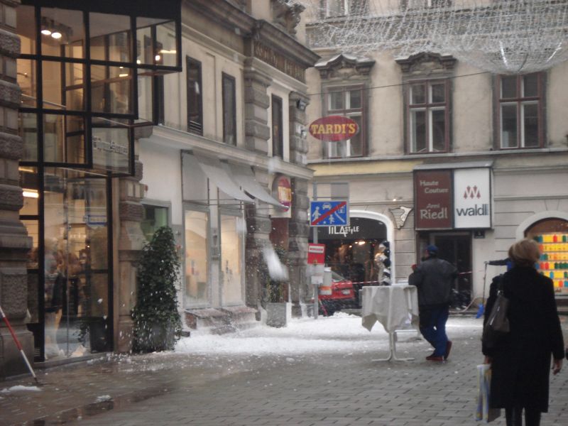 Viewing photos→2010→2010-12-06→121