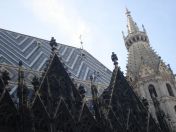 133.jpg - 2010:12:08 11:41:19