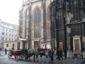 134.jpg - 2010:12:08 11:41:44