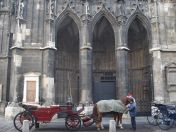 135.jpg - 2010:12:08 11:42:08