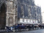 136.jpg - 2010:12:08 11:42:15