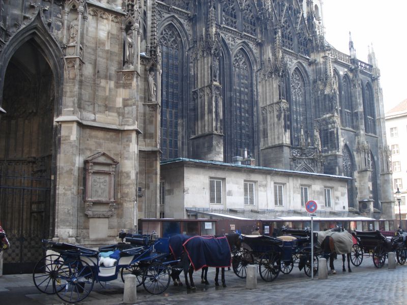 Viewing photos→2010→2010-12-06→136