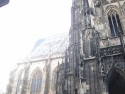 137.jpg - 2010:12:08 11:42:29