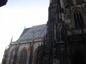 138.jpg - 2010:12:08 11:42:33